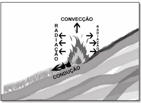 Figura 4 – Progressão e transferência do calor do fogo em terreno plano 