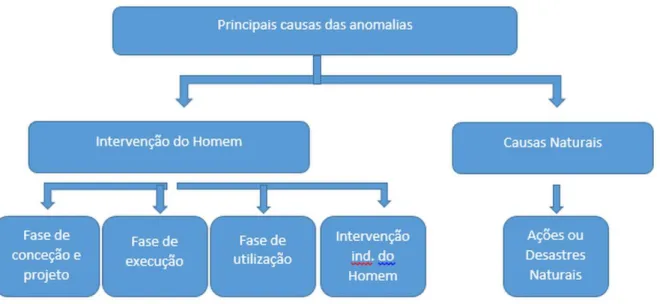 Figura 1: Principais causas das anomalias. Fonte: Sousa, Inês Filipa Nunes, 2016. 