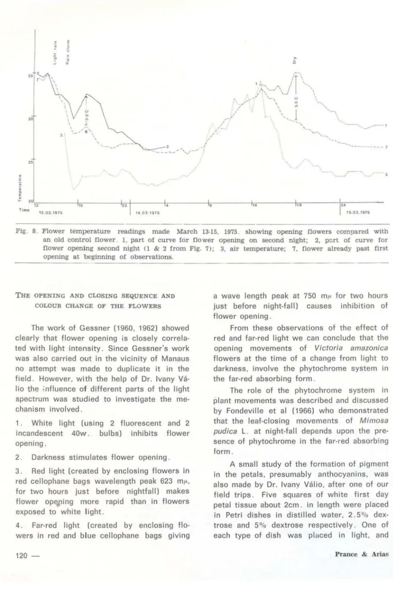 Fig.  8.  Flower  temperature  readings  made  March  13-15,  1975.  showing  opening  flowers  compared  with  an  old  control  flower _ 1,  part  of  curve  for  flower  opening  on  second  night;  2,  p ~ rt  of  curve  for  flower  opening  second  n