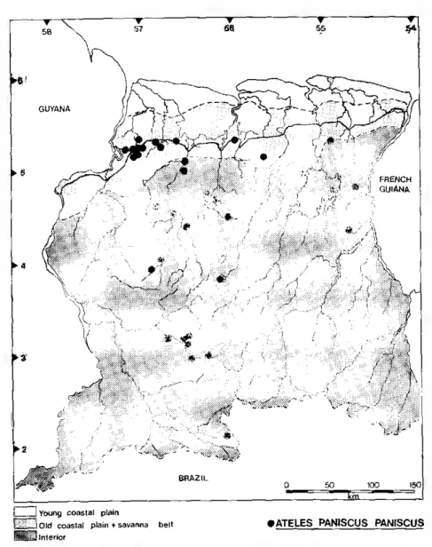 Figure 1 Distribution map lor Ateies paniscus paniscus in Surinam. The central broken line  marks the border between the coastal region and the interior