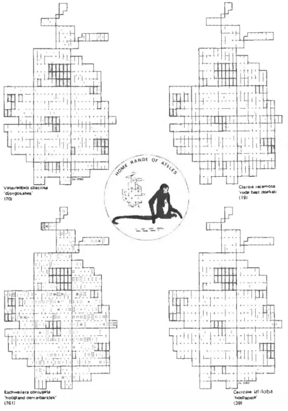 Figure  8  Distribution patterns  of  lour  tree  species  occurring  in high  fores! in  the  Voltzberg  rngion