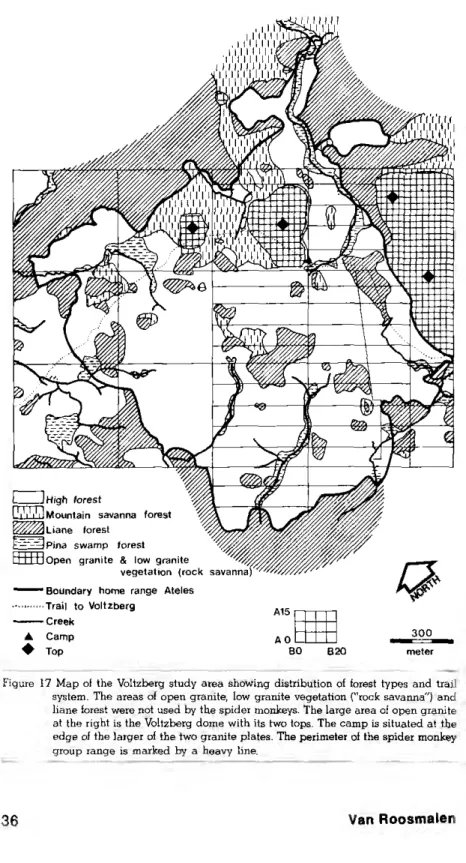 Figure 17 Map of the Voltzberg study area showing distribution of forest types and trail  system