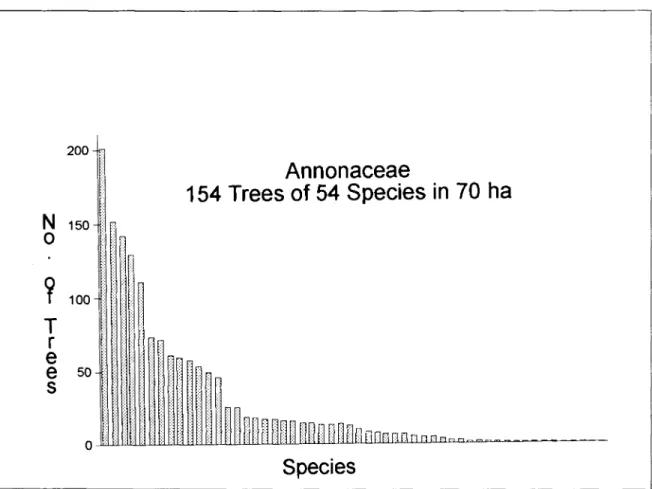 Figure 7 - Abundance by species for trees of the Annonaceae. 