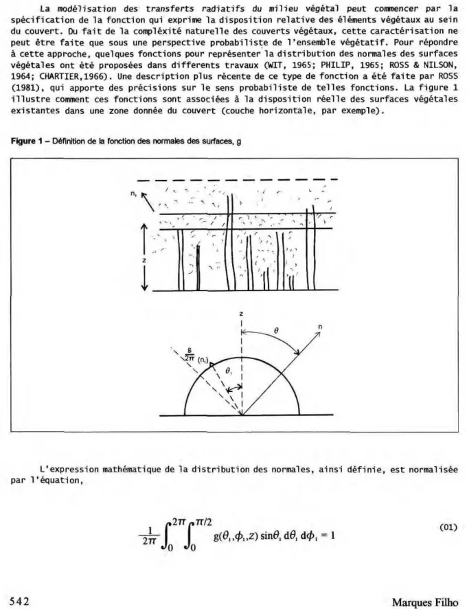 Figure 1 - Definition de la fonction des normales des surfaces, g 