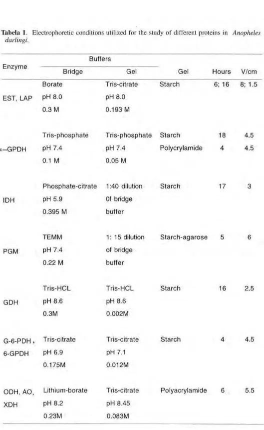 Tabela I. Electrophoretic conditions utilized for the study of different proteins in Anopheles  darlingi