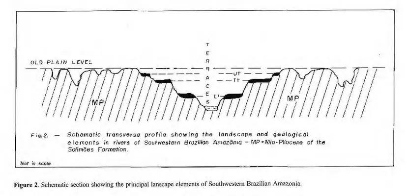 Figure 2. Schematic section showing the principal lanscape elements of Southwestern Brazilian Amazonia