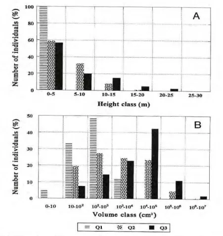 Figure 1. Comparison of forest structure across three secondary forest succession ages in the  Caxiuanã National Forest, Pará, Brasil