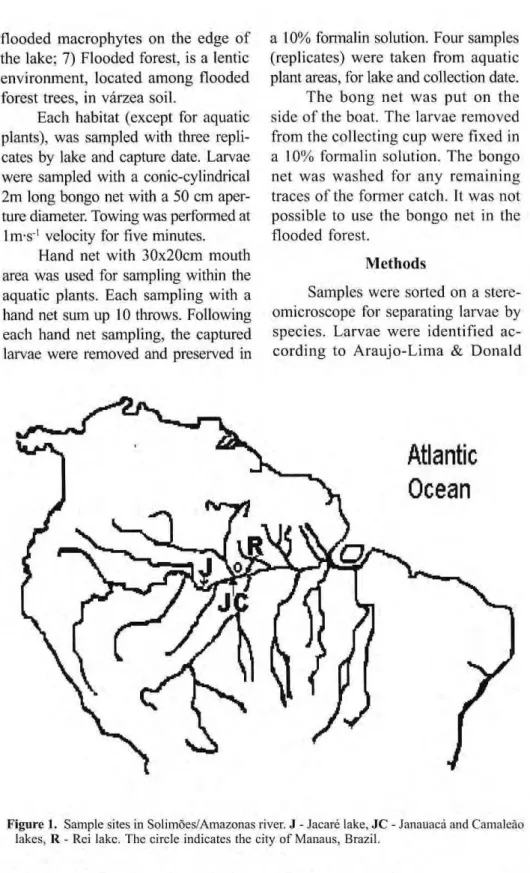 Figure 1. Sample sites in Solimões/Amazonas river. J - Jacaré lake, JC - Janauacá and Camaleão  lakes, R - Rei lake