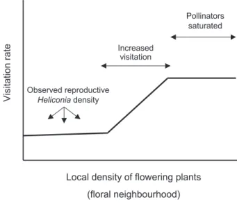 Figure 2 - Hypothetical pattern by which the increasing local density of flowering plants influences local reproductive success
