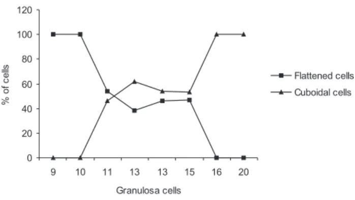 Figure 2 - Relationship between granulosa cell number in the largest cross-section and its pattern of flattened and cuboidal cells distribution.