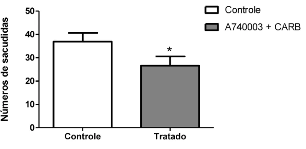 Figura 7: Avaliação do efeito conjunto de A740003 + carbenoxolona na nocicepção induzida por capsaicina.