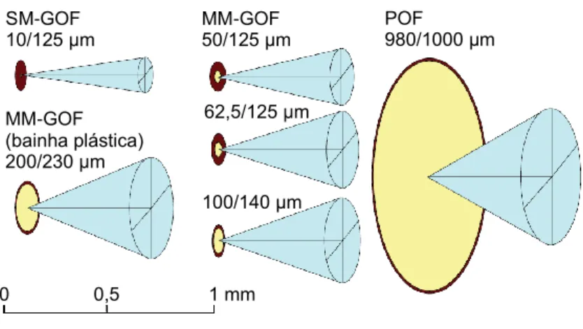 Figura 2.5 – Comparação da dimensão do núcleo, bainha e cone de aceitação de GOF e POF [6] (adap.)
