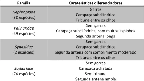 Tabela 7 Principais diferenças entre as 4 famílias de Lagosta, adaptado [34]. 