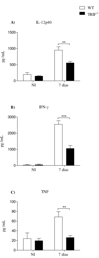 Figura 8: Quantificação da produção de citocinas IL-12p40 (A), IFN–γ (B) e TNF (C) por ELISA no homogenato  dos pulmões de camundongos WT e TRIF -/- (n = 5) após 7 dias de infecção com 5x10 6  taquizoítos de N