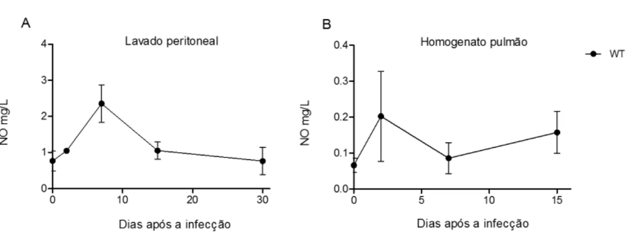 Figura  6.  Quantificação  de  NO  em  exsudato  peritoneal  e  homogenato  de  pulmão  de  camundongos  Selvagens (WT) infectados com  uma dose subletal de taquizoítos de  N