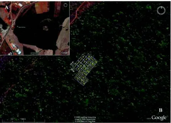 Figura 2.6 – A - Localização do sítio de amostragem da floresta estacional semidecidual no fragmento  Monte Carmelo