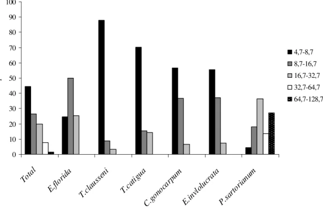 Figura 4: Distribuição percentual dos indivíduos nas classes de diâmetro para as espécies arbóreas  com  abundância  superior  a  20  indivíduos  no  hectare  amostrado  na  floresta  estacional  semidecidual da Fazenda da Mata, Araguari, MG