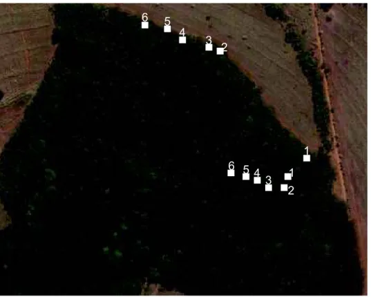 Figura  4.  Localização  das  parcelas  no  entorno  e  interior  do  fragmento  de  floresta  semidecidual, na Fazenda Experimental do Glória, Uberlândia, MG