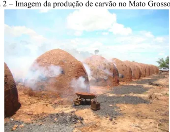 Figura 2  –  Imagem da produção de carvão no Mato Grosso do Sul 