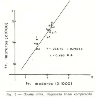 Fig.  5  - Couma  utilis.  Regressão  linear  comparando  o  número  de  frutos  maduros  (x)  e  número  de  frutos 