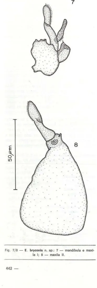 Fig.  7/8  - E.  bryconis  n.  sp.:  7  - mandíbula  e  maxi· 