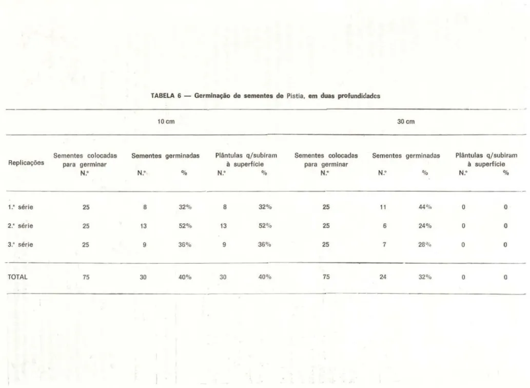 TABELA  6  - Germinação  de  sementes  de  Pistia,  em  duas  profundidades 