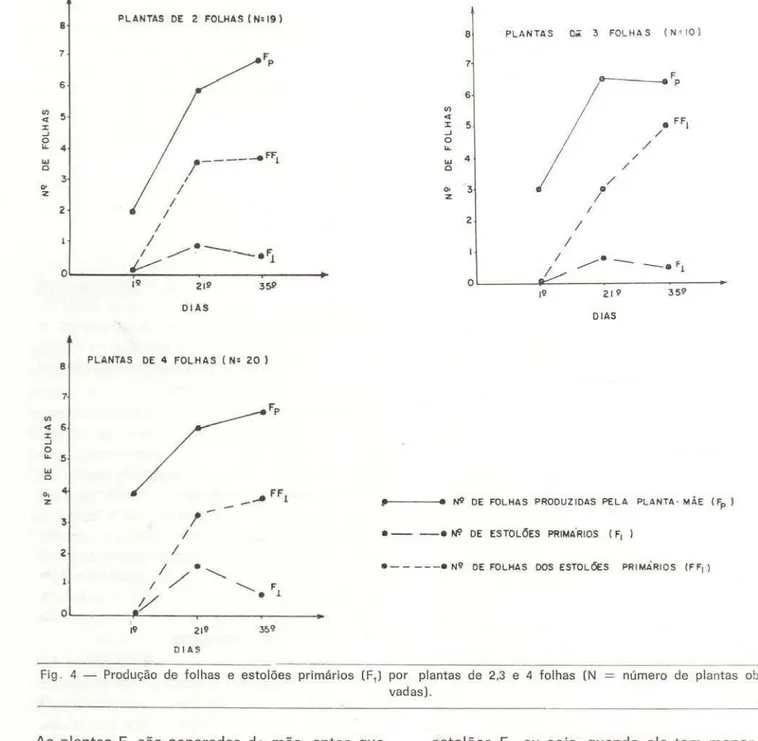 Fig .  4  - Produção  de  folhas  e  estolões  primários  (F 1)  por  plantas  de  2,3  e  4  folhas  (N  vadas)