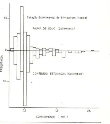 Fig.  1  O - Distribuições  de  freqüências  do  comprimen- comprimen-to  de  Collembola  da  fauna  do  solo  e  do  conteúdo  