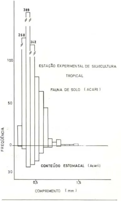 Fig.  13  - Distribuições  de  freqüências  do  comprimento  de  Acarl  da  fauna  do  solo  e  do  conteúdo  estomacal 