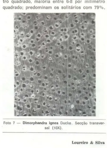 Foto  7  - Dimorphandra  ignea  Ducke.  Secção  transver- transver-sal  (10X) . 