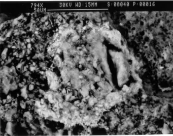 Figure 11 - SEM/EDS analyses of Ba and Mn mineral as well as phosphate developed in the clayey matrix: a) Ba in the outer zone (hell gray); b) Mn and P in the inner zone (gray).