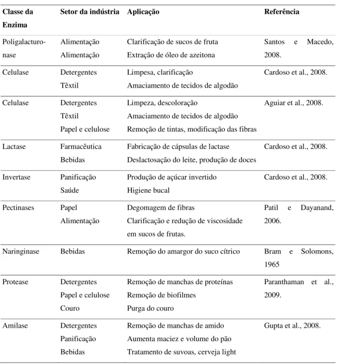 Tabela 2.3 - Algumas enzimas produzidas por Aspergillus niger com relevância comercial e suas  aplicações