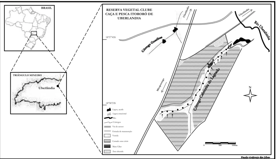 Figura 1. Área de estudo evidenciando as fitofisionômias, pontos de amostragens de Orthopsittaca manilata, e pontos de avaliação fenológica de  Mauritia flexuosa (indicados pelas flechas), ao longo do Córrego Cabeceira do Lageado