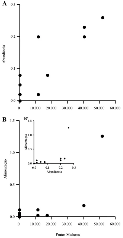 Figura 5. A: relação entre o Índice Pontual de Abundância de Orthopsittaca manilata e  a disponibilidade de frutos maduros em Mauritia flexuosa