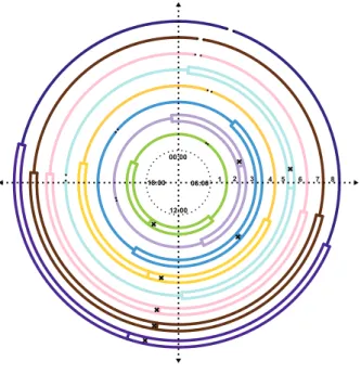 Figura 4.22: Boxplot circular da distribuição diária da diferença positiva.