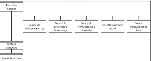 Figura 1. Estrutura Organizacional 