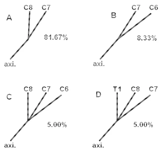 Figura 1. Desenho esquemático unilateral da origem do nervo axilar (axi.) em quatro  fetos  de  bovinos  azebuados  (A,  B,  C,  D)  com  suas  respectivas  percentagens de ocorrências