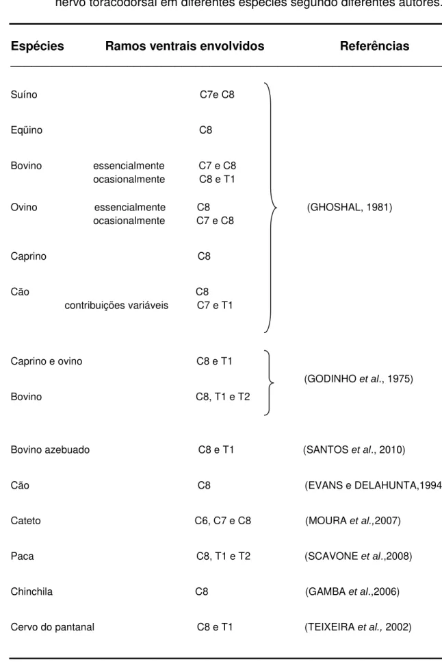 Tabela 1: Ramos ventrais dos nervos espinhais que participam da formação do                  nervo toracodorsal em diferentes espécies segundo diferentes autores