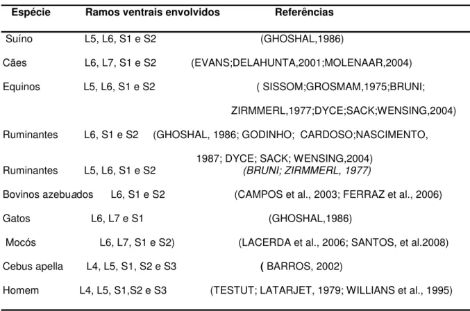 Tabela  1:  Ramos  ventrais  que  participam  da  formação  do  nervo  isquiatico  em           diferentes espécies