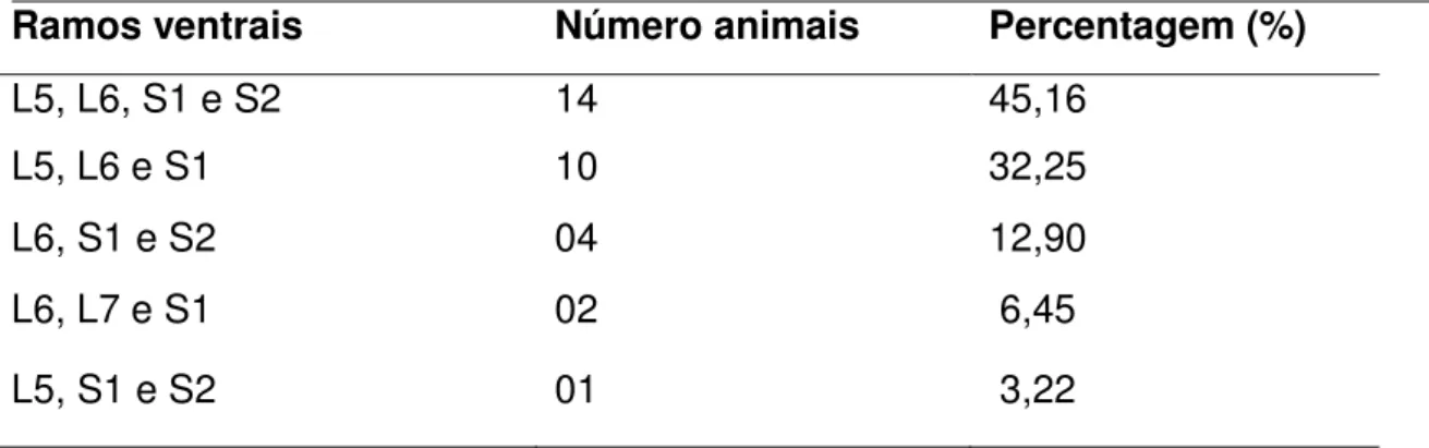 Tabela 4:  Ramos ventrais dos nervos espinhais que participam da formação                    do isquiático em feto de suínos (Sus  scrofa domesticus-Linnaeus,                   1758) da linhagem Pen Ar Lan
