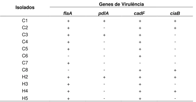 Tabela 7 – Ocorrência de genes de virulência em Campylobacter jejuni isolados de fezes de animais  pets atendidos no Hvet e de crianças até 5 anos atendidas no HC, de julho de 2010 a março de 2011
