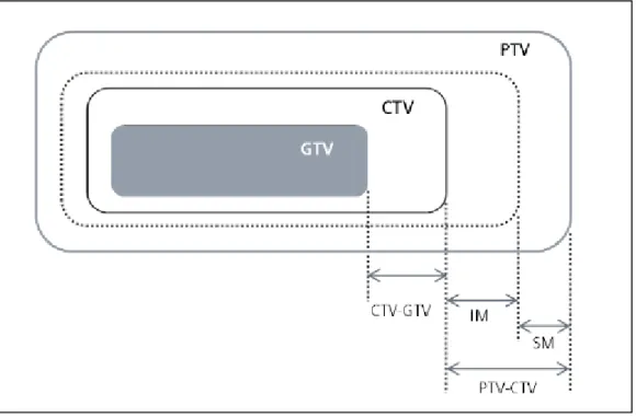 Figura 1.5 Ilustração dos volumes e margens relativas à definição do volume-alvo. Adaptado da (ICRU,  2010)