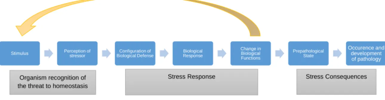 Figure 1.1. Stress response model in animals (adapted from Broom &amp; Johnson, 1993).