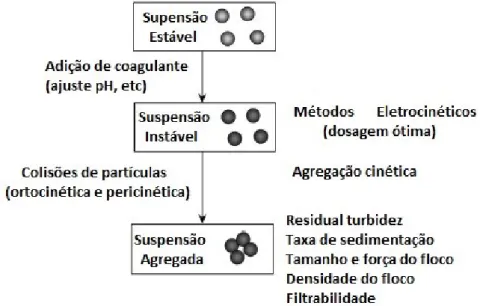 Figura 2 - Agregação de partículas e métodos 