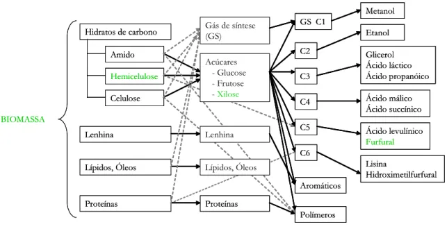 Figura 1.2. Esquema simplificado da síntese de produtos baseados na conversão da biomassa [5] 