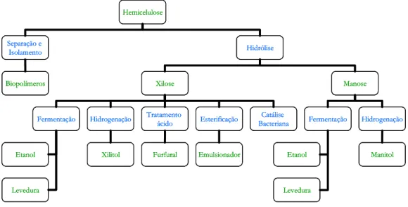 Figura 1.4. Representação esquemática de alguns produtos que podem ser obtidos a partir dos  principais constituintes da hemicelulose