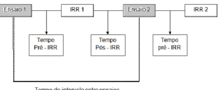 Figura 1 – Representação esquemática das variáveis temporais da IRR (adaptado de Mendes,  1998, p