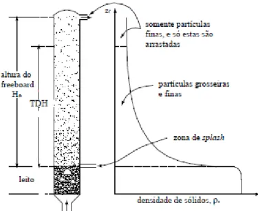 Figura 3.2. Arrastamento de partículas ao longo do reator de leito fluidizado (Adaptado de Kunii et al