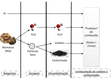 Figura 3.3 Fases de combustão de uma partícula de biomassa (Adaptado de Neves et al. 2011)