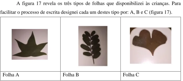 Figura 17 – Designação dos tipos de folhas.  